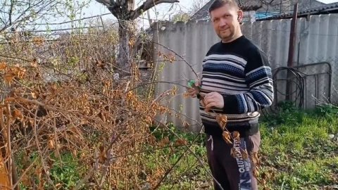 Обработка клубники // Точечный покос травы // Весна на к