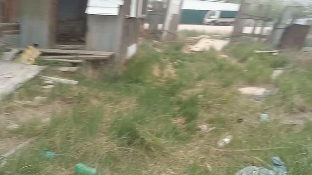 Заброшка гупь и красный цвет