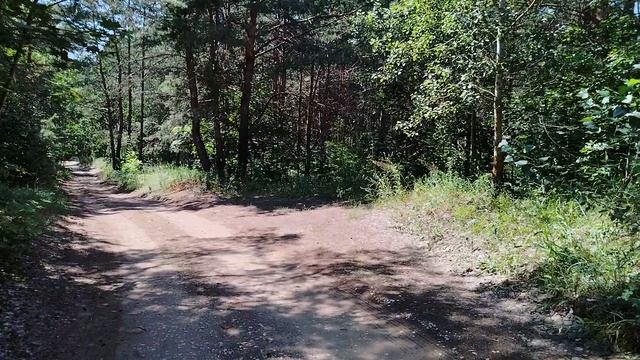 Прогулка на природе