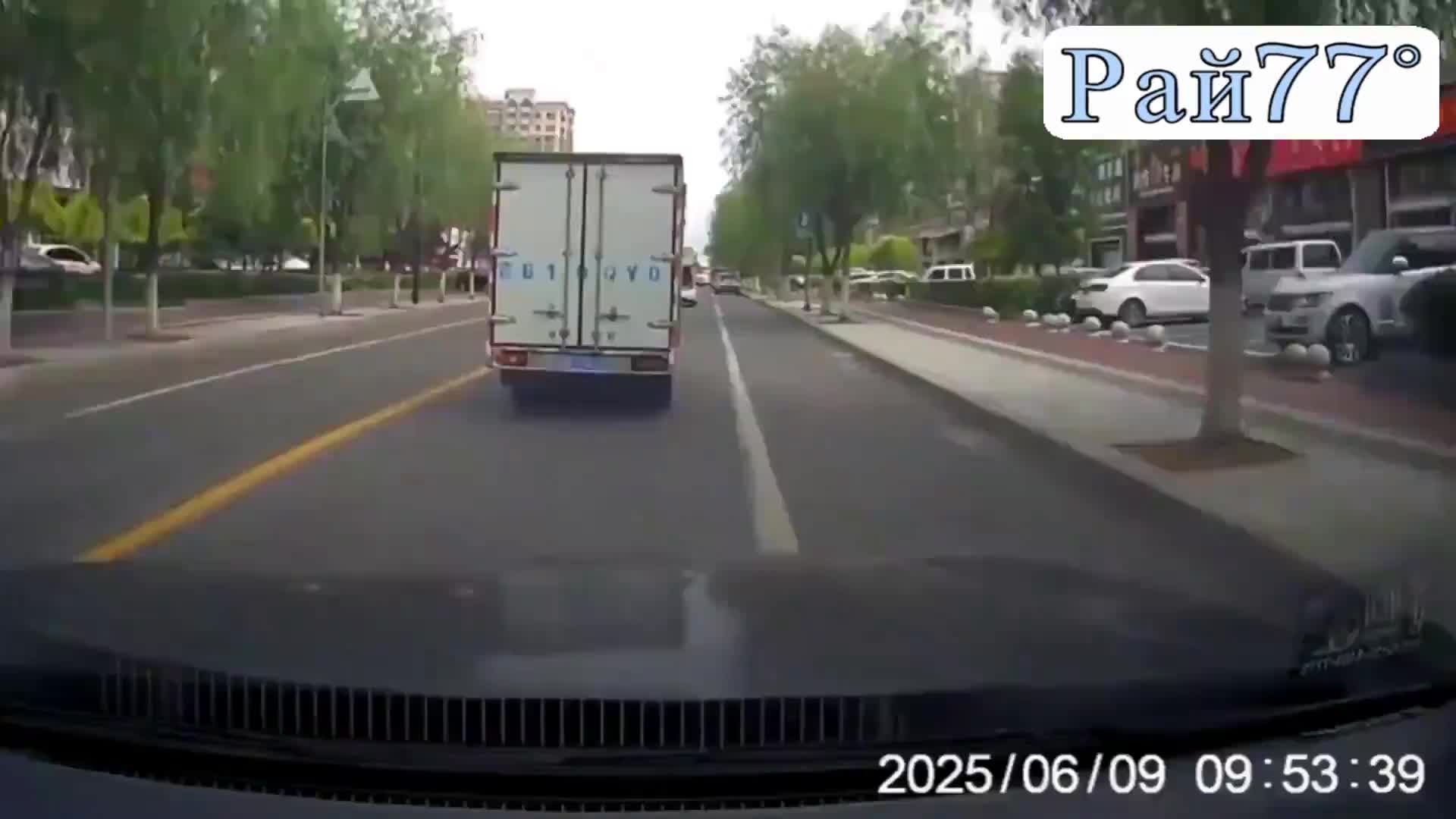 Дерево прервало неуправляемый заезд легковушки в Китае