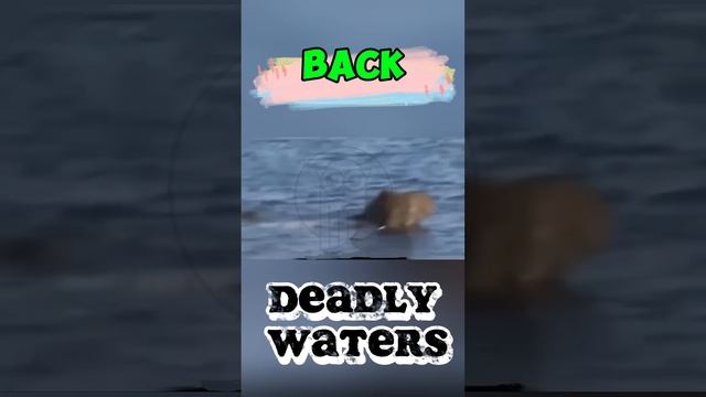 eX7Cw6JOD2w - Deadly Waters： How the Elephant Herd Defied the Crocodile’s Grip #shorts #animals