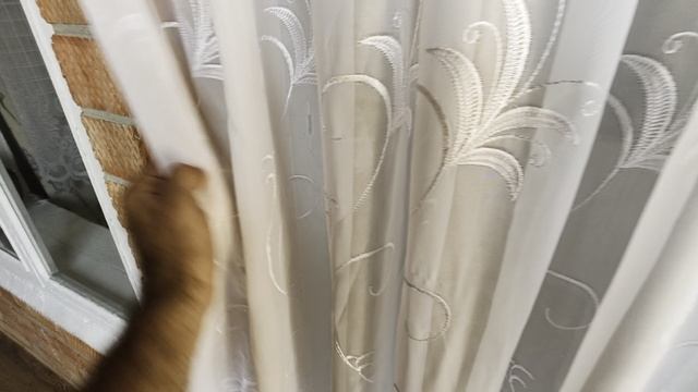 Свердлова Октябрьская 1й этаж 8чел