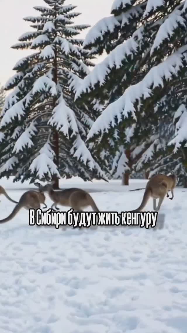 ТАРПАЛ - Если я не умру