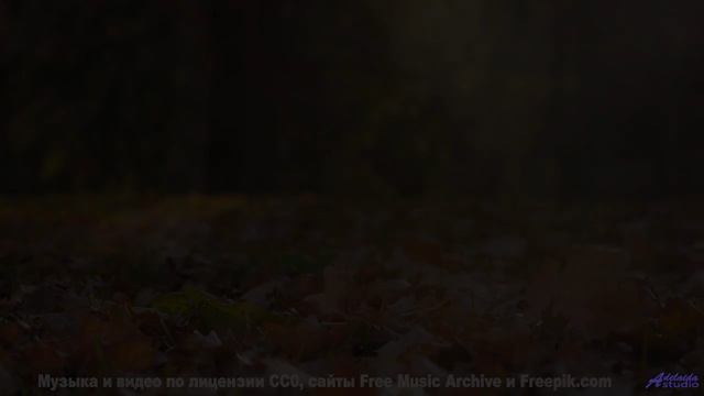 Природа и музыка здесь - сильнейший удар по эмоциям - Come and Go -- Jeremy Allingham -- Run Wild