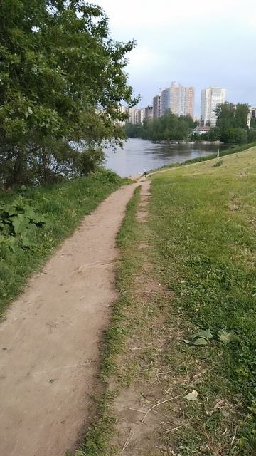Дорожка к Неве, занимаюсь скандинавской ходьбой, 12 июня 2025.