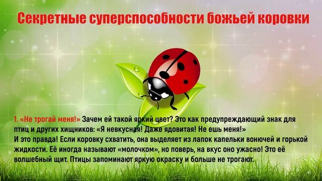 🐞 Волшебный мир божьих коровок | Познавательное видео для детей