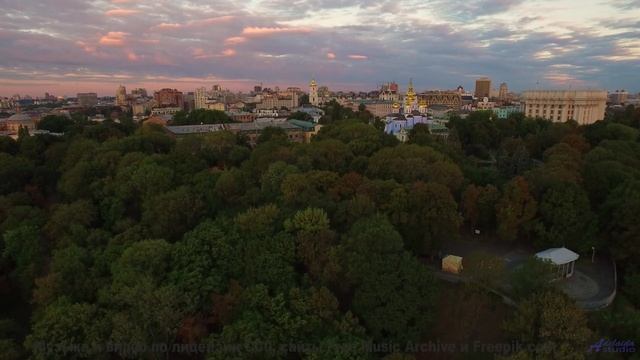 Что будет, если показать это видео хомяку Результат удивит! - Feathered Bow -- Ayla Nereo -- Beheld