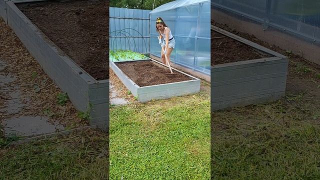 Как подготовить грядки под посадку?