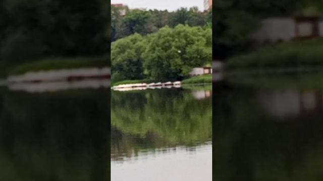 1000019430.mp4