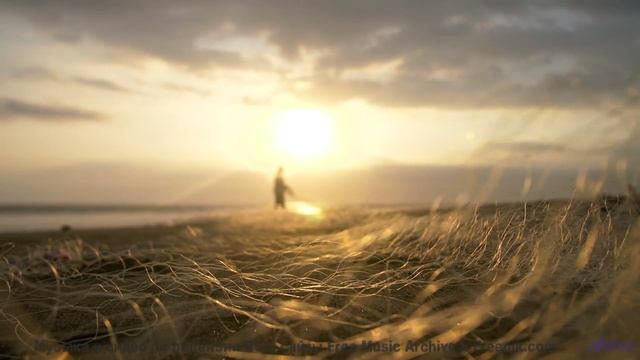 Почему ученые боятся этой комбинации звуков и образов - STAND BY ME -- Ema Grace -- Unnamed album