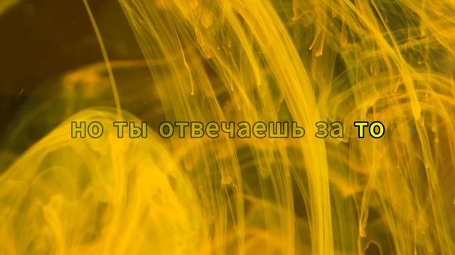 ИЗБРАННЫЙ, ОТ НУЖДЫ К РОСКОШИ — ВСЁ НАЧИНАЕТСЯ СЕЙЧАС!