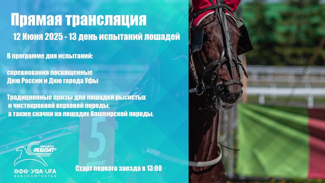 Прямая трансляция 12 Июня 2025 - 13 день испытаний лошадей
