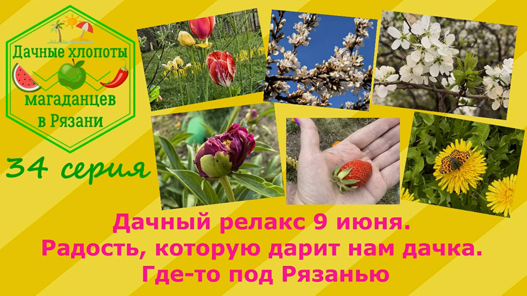 Дачный релакс 9 июня. Радость, которую дарит нам дачка. Где-то под Рязанью. 34 серия