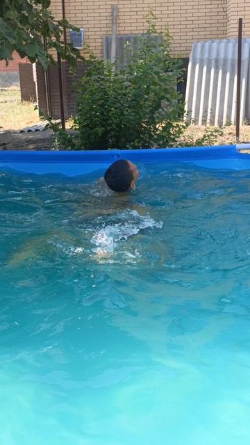 бассейн с папой