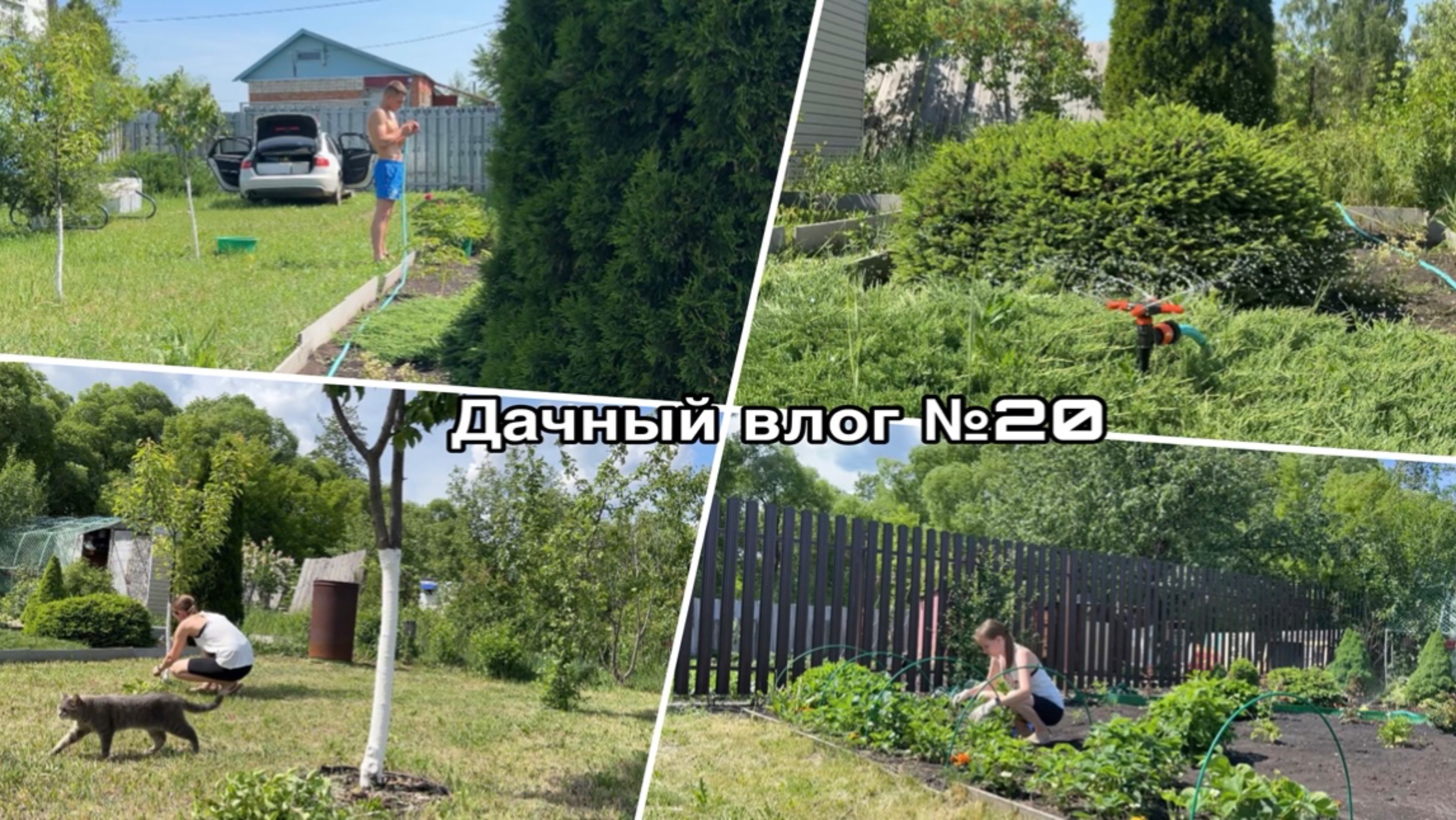 Дачный влог №20 🍓 Привела в порядок клубнику | Настроили полив