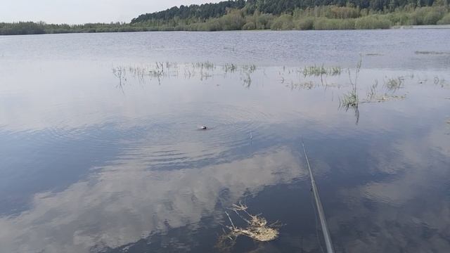 андатра