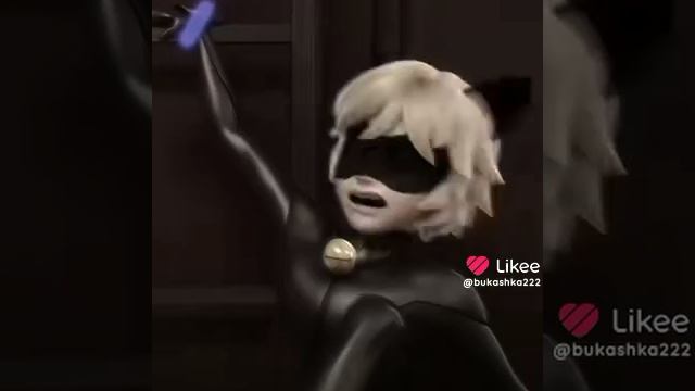 супер кот