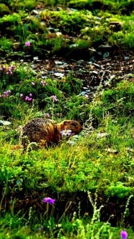 Моменты, которых не ждали