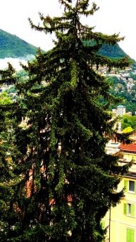 Неожиданные кадры жизни