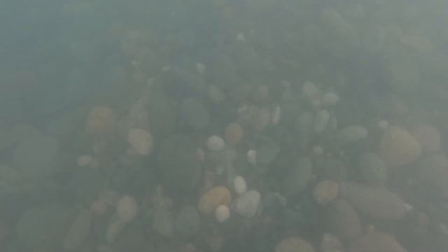 В море с головой