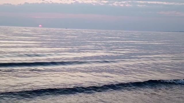 video_2025-06-12_08-36-14 (8)