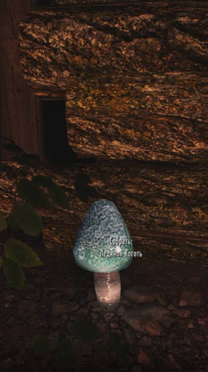 Ледяной коготь SKYRIM сборка WuzOne