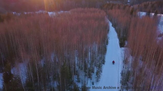 Видео, которое можно понять только с расширенным сознанием - испытайте! - Teamwork -- Scott Holmes M