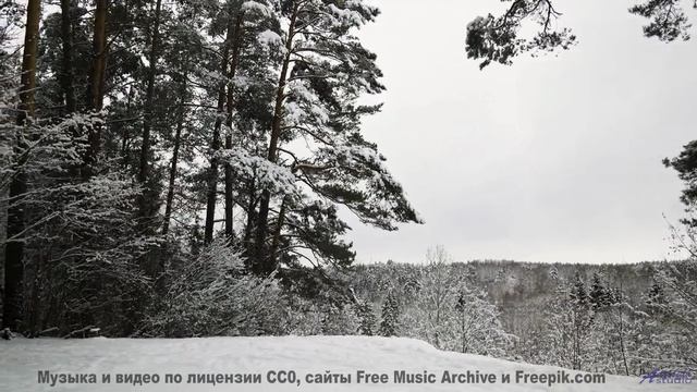 Аккорды льются вместе с дождём и ветром в душу - Fields -- Big Quiet -- Live at Monty Hall, 9152017