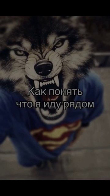 Life Hacker кофейни самообслуживания #кофе #бизнес #кофейнясамообслуживания
#бизнесидея