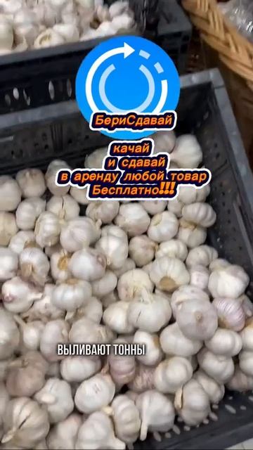 1000062063.mp4