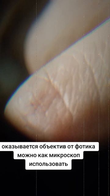оказывается объектив можно использовать как микроскоп


на фоне:Крик или Безмолвие-Мои нулевве