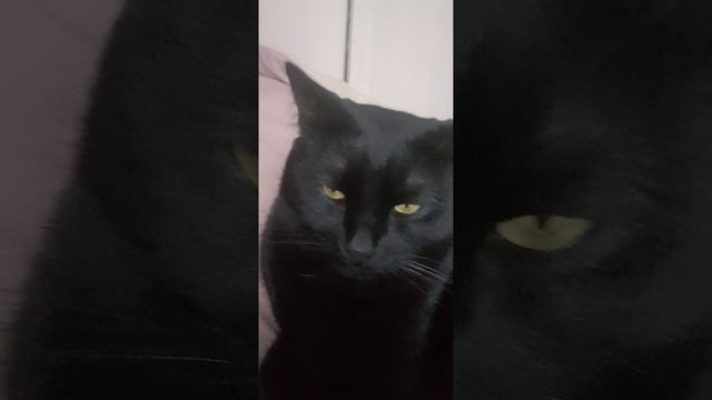 Знакомство с моим каналом