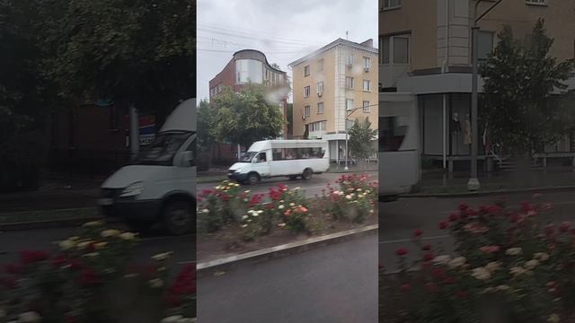 Луганск, сегодня, дождь, 12 июня, день России