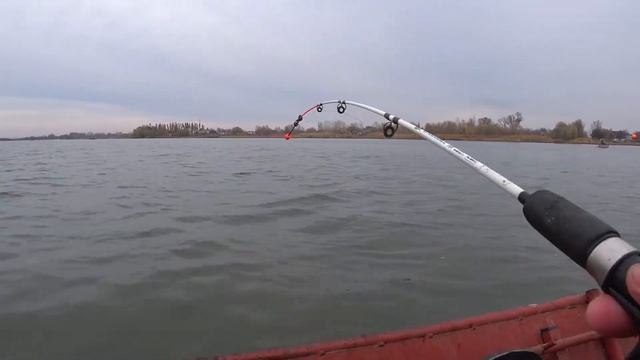 ВЗЯЛ ЛОДКУ НА ПРОКАТ / БЕСКОНЕЧНЫЙ КЛЕВ РЫБЫ / РЫБАЛКА С ЛОДКИ НА ДОНУ