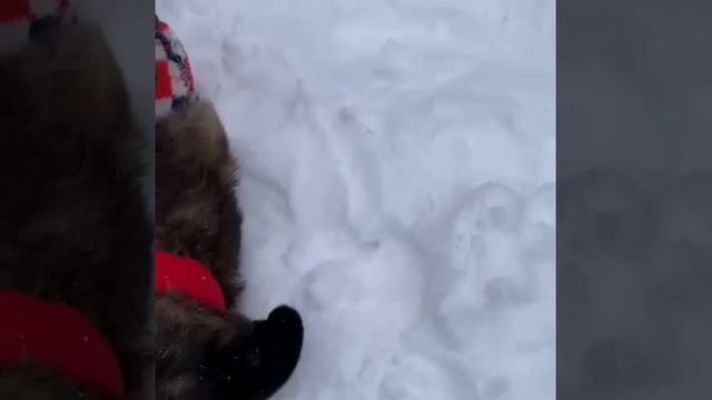 Когда Стэлла была в Москве.