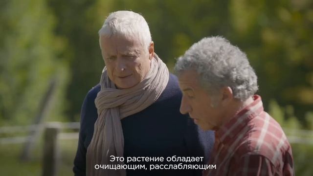 Ответственная красота Clarins
