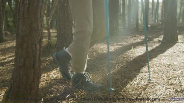 Музыка для тех, кто целуется под шум поезда на ночном вокзале - Mysterious Footprints -- Nutmeg -- A