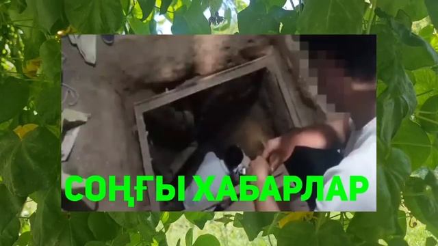 ТАН АТА ШЕКАРАДА НЕ БОЛҒАНЫН ҚАРАҢЫЗ! СҰМДЫҚ! ҚАЙҒЫЛЫ ?