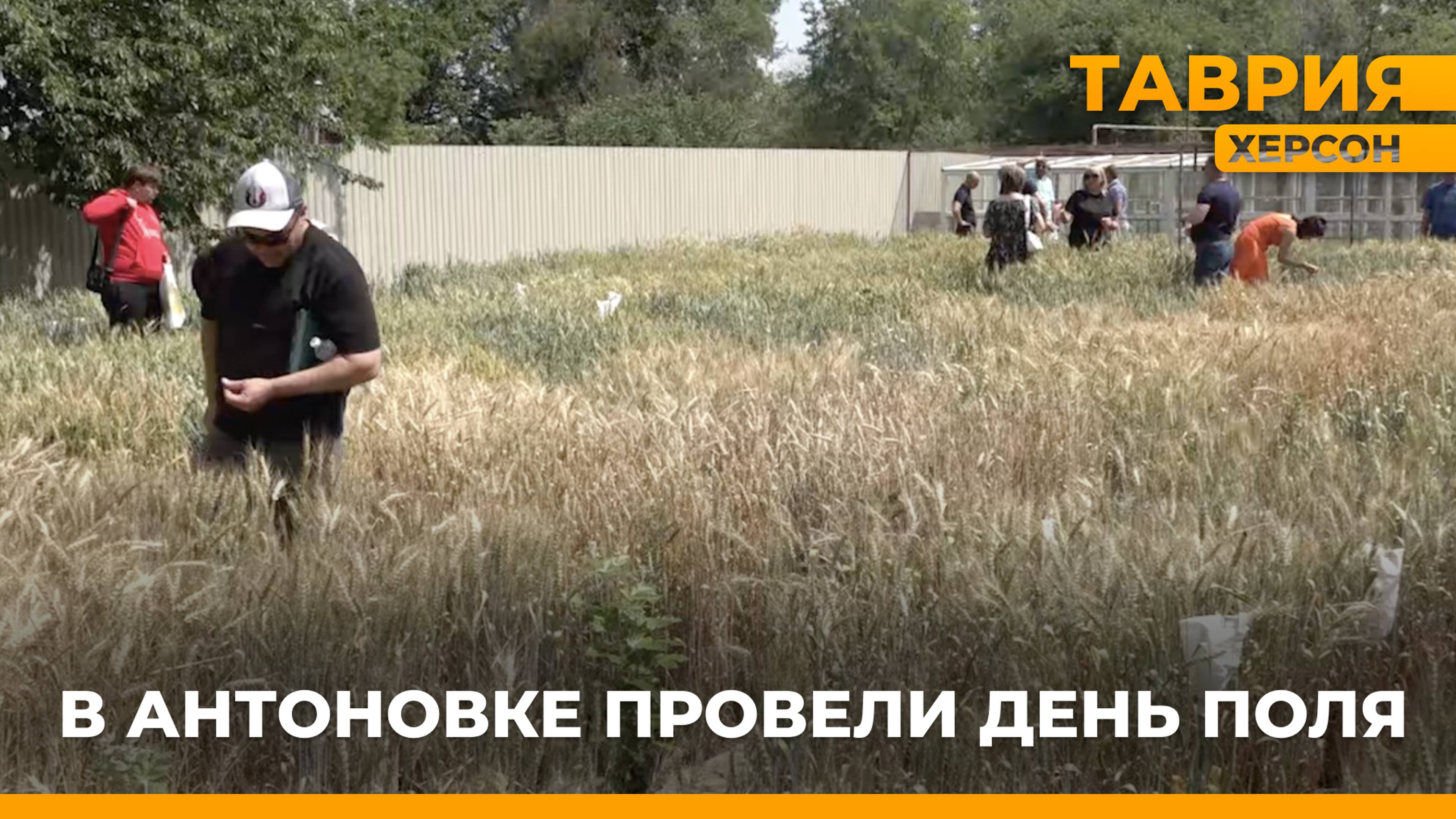 Как избежать ожогов и несчастных случаев у воды летом