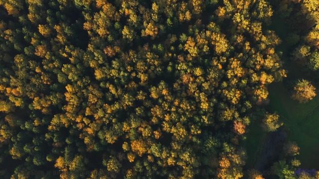 Музыка для объятий под звёздами где-то на краю карты - Song 4 -- G. H. Everetts -- looks at mountain