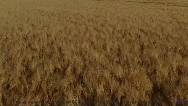 Этот звук под эти пейзажи разорвёт ваше сердце - Slice-of-Sun -- Ketsa -- The New World