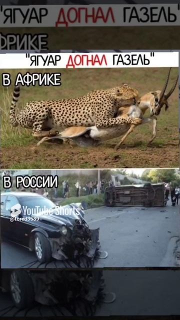 Мем
