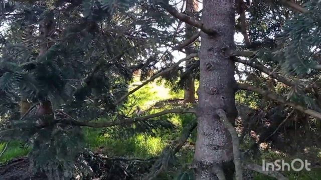 #сад в Краснодаре,. ЗАЧЕМ В ВЫХОДНОЙ СТОЯТЬ  В ОЧЕРЕДИ?