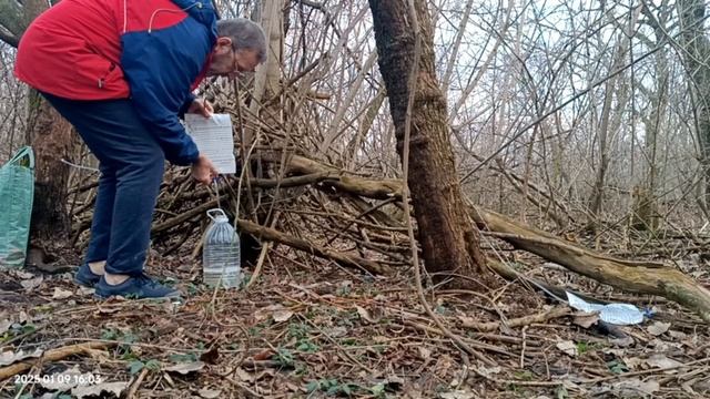Сбор кленового сока 9 января 2025г.  не шучу.
