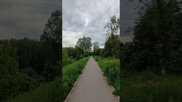 Природа Подмосковья! Звуки птиц подленные из фильма.