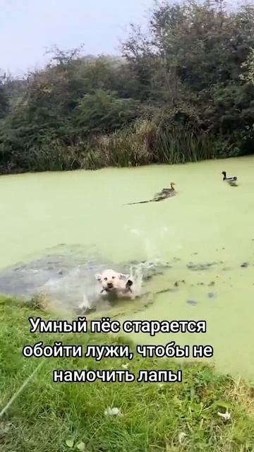 Конец убил 🫣