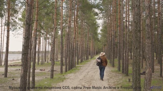 Звуки, создающие голограммы - будущее уже здесь! - asianna -- Jean Toba -- a land where the poets dr