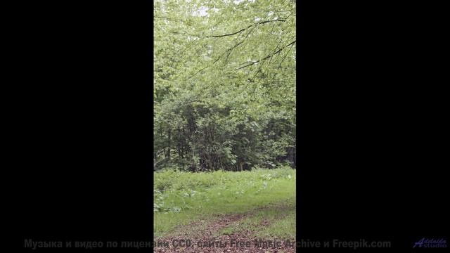 Трек, который звучит лучше на природе - cut throat -- Vincent Augustus -- Cut Throat