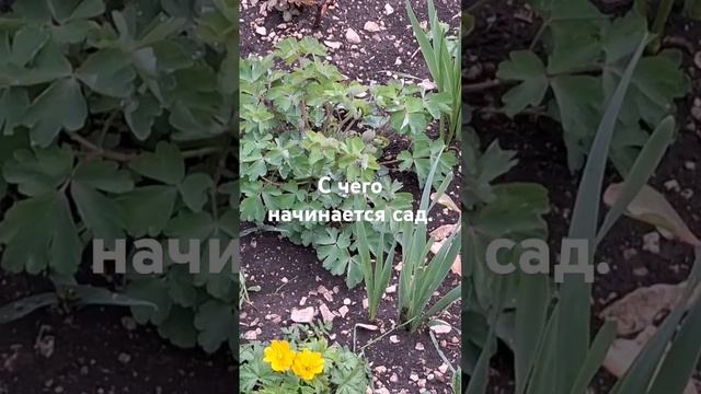 24 апреля 2025 г.