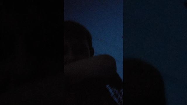 гуляем с собакой